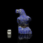 Lapis Lazuli Eagle // 312 Grams