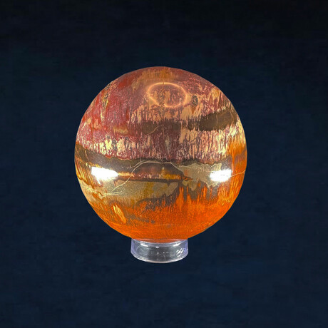 Petrified Wood Sphere // 220 Million Years Old // 6.5 lb