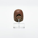 Ancient Ecuador, 3500 - 1500 BC // Valdivia "Venus" head