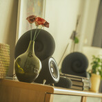 Spirula Speakers 4" Deep Black // No Cables