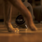 Spirula Speakers 3" Deep Amber // No Cables