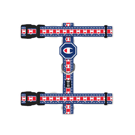Champion x Fresh Pawz // H-Harness (S)