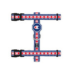 Champion x Fresh Pawz // H-Harness (S)