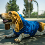 Champion X Fresh Pawz // Logo Repeat Hoodie // Dog Clothing (S)