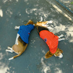 Champion X Fresh Pawz // Logo Repeat Hoodie // Dog Clothing (S)