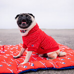 Champion x Fresh Pawz // Pet Mat