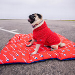 Champion x Fresh Pawz // Pet Mat