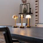 TWO Table Light // Gold // Smoked Glass