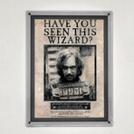 Harry Potter // Sirius Black // MightyPrint™ Wall Art // Backlit LED Frame