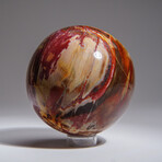 Genuine Polished Petrified Wood Sphere With Acrylic Display Stand // V1