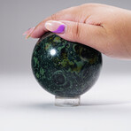 Genuine Polished Kambaba Jasper Sphere With Acrylic Display Stand // V1