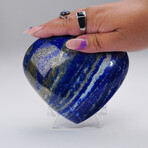 Genuine Polished Lapis Lazuli Heart With Acrylic Display Stand // V1