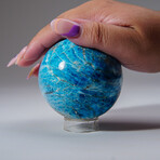 Genuine Polished Blue Apatite Sphere With Acrylic Display Stand