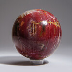 Genuine Polished Petrified Wood Sphere With Acrylic Display Stand // V1