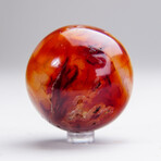 Genuine Polished Carnelian Sphere With Acrylic Display Stand // V1