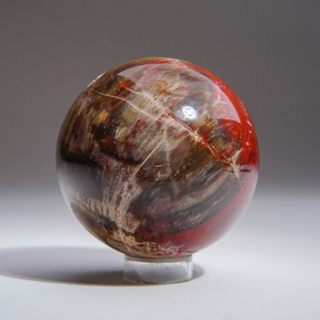 Genuine Polished Petrified Wood Sphere With Acrylic Display Stand // V2