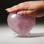 Genuine Polished Rose Quartz Heart With Acrylic Display Stand