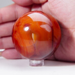 Genuine Polished Carnelian Sphere With Acrylic Display Stand // V2