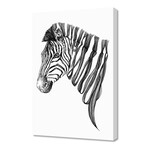 Zebra v.01 (8"H x 12"W x 0.75"D)