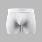 ALPHX Everyday Comfort // ATHLTC Boxer Brief // Frost White (Small)