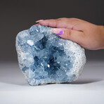 Genuine Blue Celestite Geode // 5.95lb