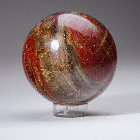 Genuine Polished Petrified Wood Sphere with Acrylic Display Stand // 1.91lb