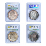 1993, 1994, 1995, 1996 1 oz American Silver Eagle // Toned Slver Eagle Collection // PCGS Certified