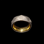 Gibeon Meteorite Ring // Silver and Gold // Size 5