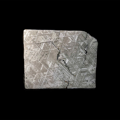 Muonionalusta Meteorite Slice // 231 Grams