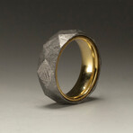Gibeon Meteorite Ring // Silver and Gold // Size 5
