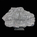 Muonionalusta Meteorite Slice // 703 Grams