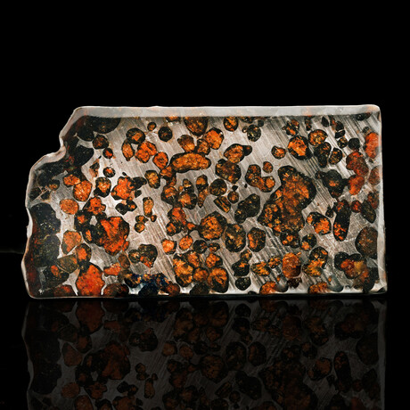Sericho Pallasite Meteorite Slice // 58 Grams