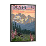 Olympic National Park (Black Bear Family) by Lantern Press (26"H x 18"W x 0.75"D)