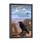 Grand Canyon National Park (Ravens Near Angels Window) by Lantern Press (26"H x 18"W x 0.75"D)