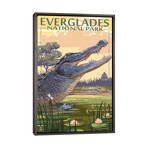 Everglades National Park (Alligators) by Lantern Press (26"H x 18"W x 0.75"D)