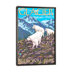 Glacier National Park (Mountain Goats) by Lantern Press (26"H x 18"W x 0.75"D)