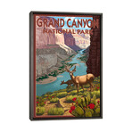 Grand Canyon National Park (Roaming Deer) by Lantern Press (26"H x 18"W x 0.75"D)