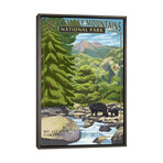 Great Smoky Mountains National Park (Mount Le Conte) by Lantern Press (26"H x 18"W x 0.75"D)