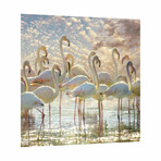 Flamingo Flair // Frameless Free Floating Tempered Glass Panel Graphic Wall Art