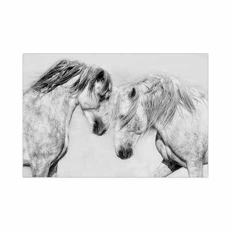 Caballo Blanco Equine // Frameless Free Floating Reverse Printed Tempered Art Glass Wall Art