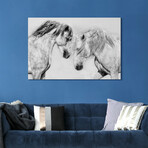 Caballo Blanco Equine // Frameless Free Floating Tempered Glass Panel Graphic Wall Art