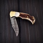 Damascus Pocket Folding Knife // 2052