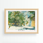 Orange trees and Gate // 21.6"H x 29.5"W x 0.8"D (Brown Frame)