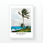 Palm Tree, Nassau // 17.7"H x 13.8"W x 0.8"D (Brown Frame)