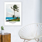 Palm Tree, Nassau // 29.5"H x 21.6"W x 0.8"D (Brown Frame)