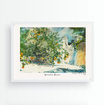 Orange trees and Gate // 13.8"H x 17.7"W x 0.8"D (Brown Frame)