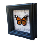 Monarch Butterfly Map Shadow Box