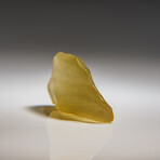Genuine Natural Libyan Desert Glass V.2 // 11.3g