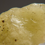 Genuine Natural Libyan Desert Glass // 115.2g