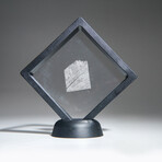 Genuine Muonionalusta Meteorite Slice V3